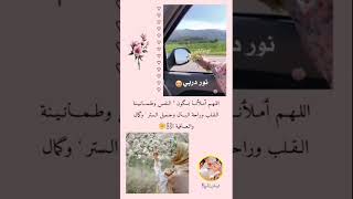 يارب نور دربي 🌿❤️ستوريات انستا دينيه🌱حالات واتس اب انشودة🌼✨#اناشيد #اسلامية❤️#تصميمي😊