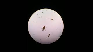 Sea Sketches: Data visualization and temperature
