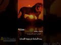 صح الزمن غدار