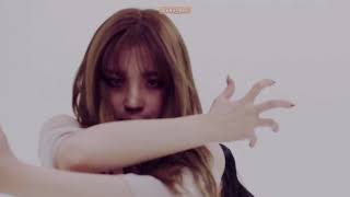 G-Idle Lion Miyeon Yuqi Chorus Loop