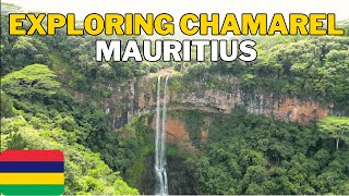 THINGS TO DO IN MAURITIUS 🇲🇺 Chamarel Waterfall, Seven coloured earth, Rum distillery & Restaurant 🤩