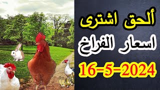 ألحق اشترى كتاكيت 🏃 نزول 8ج ف الكتكوت | ارتفاع سعر الكيلو 🔥😭أسعار الفراخ الخميس 16-5-2024