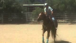 VID-20130618-00082.3GP