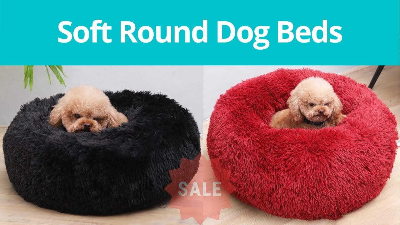 Soft Round Dog Beds Best Super Soft Macaroon Round Dog Bed YouTube