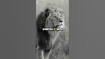 See Setbacks As Fuel |#Success