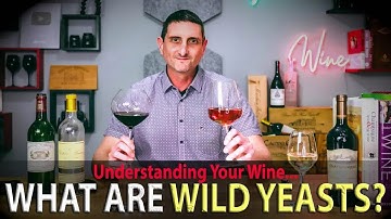 What is “Wild Fermentation” in Winemaking? How Native Yeast, Wild Yeast Differ from Commercial Yeast