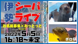 【 2022年5月5日シーパライブ 】「 お名前募集」＆「おっとっと」（伊勢シーパラダイス／水族館）