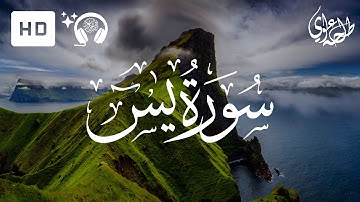 Surah Yasin - Talha Alvi | سورة يس - طلحه علوي