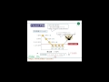 オフショア ドルコスト平均法