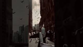 Ai Khodijah - Antal Amin||#viral #subscribe #new #shortvideo #naat #shorts #aikhodijah