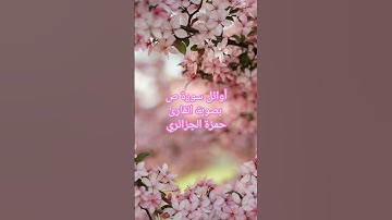أوائل سورة ص بصوت القارئ حمزة الجزائري