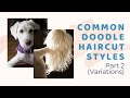 Common Doodle Haircuts Part 2 (Variations) - Goldendoodle, Labradoodle & Bernedoodle Grooming