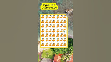 find the diff #157 #fun #funny #spot