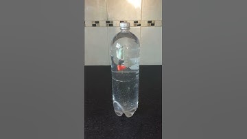 Home made Cartesian diver