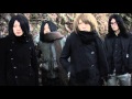 THE NOVEMBERS - Fiedel