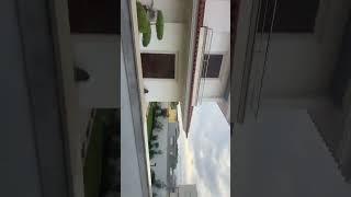 A Minha Rotina Matinal Da Manhã Pt1