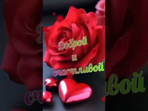 🌹🌹🌹Для тебя!🌹🌹🌹 #видеооткрытка #для тебя #комплименты #rose #красивоепожелание