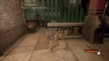 Styx Shards of Darkness Cross Drawbridge to Escape High Security Area Prison