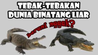 Tebak Tebakan Dunia Binatang Liar! Uji Pengetahuanmu Disini !!!