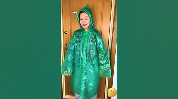 Manvi wants to go on a trip with Chintu 🥺 #cat #shortsvideo