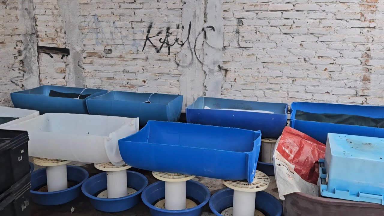 Lombricultura en cualquier espacio y sin una mayor inversión  🙂