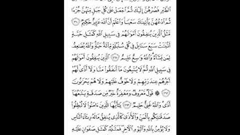 سورة البقرة ( 260 ـ 264) مشارئ العفاسي ( 44 )
