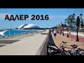 Адлер 2016