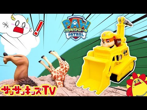 パウパトロール 砂に閉じ込められた動物を救出!ラブルのブルドーザーでレスキューごっこ! はたらくくるま おもちゃ アニメ★サンサンキッズTV★