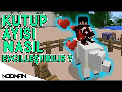 Kutup Ayisi Nasil Evcillestirilir Modsuz Minecraft Youtube