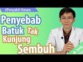 Penyebab batuk tak kunjung sembuh