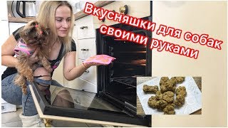 РЕЦЕПТ ВКУСНЯШЕК ДЛЯ СОБАК СВОИМИ РУКАМИ