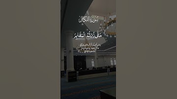تلاوة خاشعة لسورة التكاثر استمع وتأمل #قرآن #قران_كريم #quran #اكسبلور #المصحف #explore #التكاثر