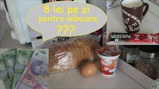 Ajung 8 lei pe zi pentru mâncare?