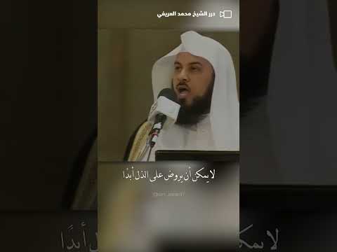 شاهد من بشائر الإنتصار في غزة محمد العريفي الشيخ محمد العريفي 