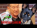 ASPEN VLOG + MY DOGS DNA TEST | LUSTRELUX