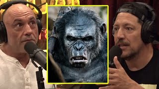 DISTURBING Chimp Attacks On Humans | Joe Rogan & Sal Vulcano