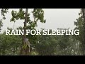 1 HOUR Rain Sounds No Music Or Thunder Light Rain For Sleep Relaxing Meditate Study Yoga 1 HOUR Rain Sounds No Music Or Thunder Light Rain For Sleep Relaxing Meditate Study Yoga