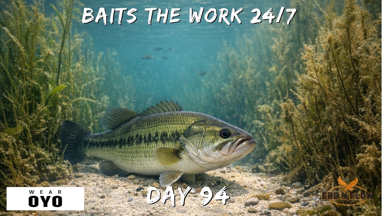 5 BEST Bass Baits to Catch Fish ANYWHERE (Full Lure Breakdown)