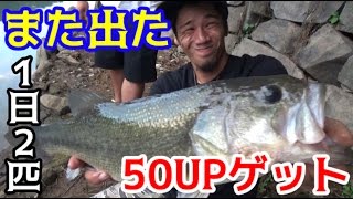 長崎野池で２日連続で５０UP！！