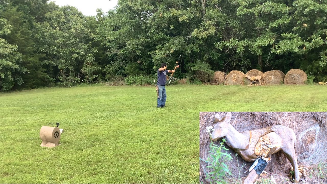 Traditional Archery Beginner to Bowhunter IRL: Ep. 7 / Midyear Practice Transition