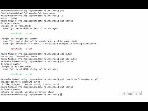 אופן השימוש ב-git commit