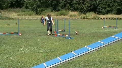 Marlon & ZoomZoom VP