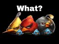 Egg Defender in Bad Choice