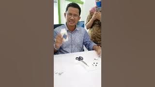 S-Lutena Palsu
