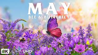 Springtime Splendor 4K | Buzzing Bees & Colorful Spring Blossoms 🌸 A Garden Full of Life screenshot 5
