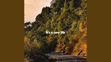 Relaxing Backdrops for Decompressing Peace