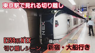 《JR東日本》東京駅　成田エクスプレス切り離しシーン