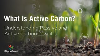 What is Active Carbon? | Learn How PhycoTerra Affects Active Carbon to Benefit Your Soil