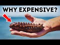 Sea Cucumbers Are Extremely Expensive, Here&#39;s Why