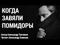 Александр Ткаченко Когда завяли помидоры